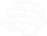 Second Brain Labs