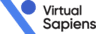 Virtual Sapiens